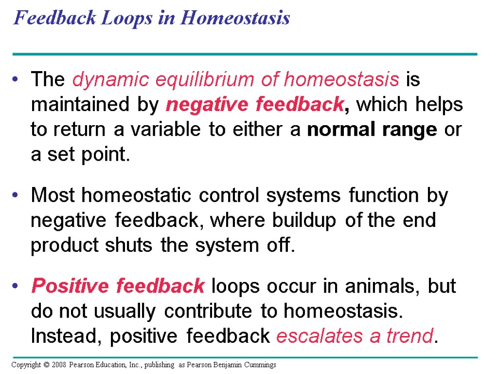 Feedback Loops in Homeostasis The dynamic equilibrium of homeostasis is maintained by negative feedback,